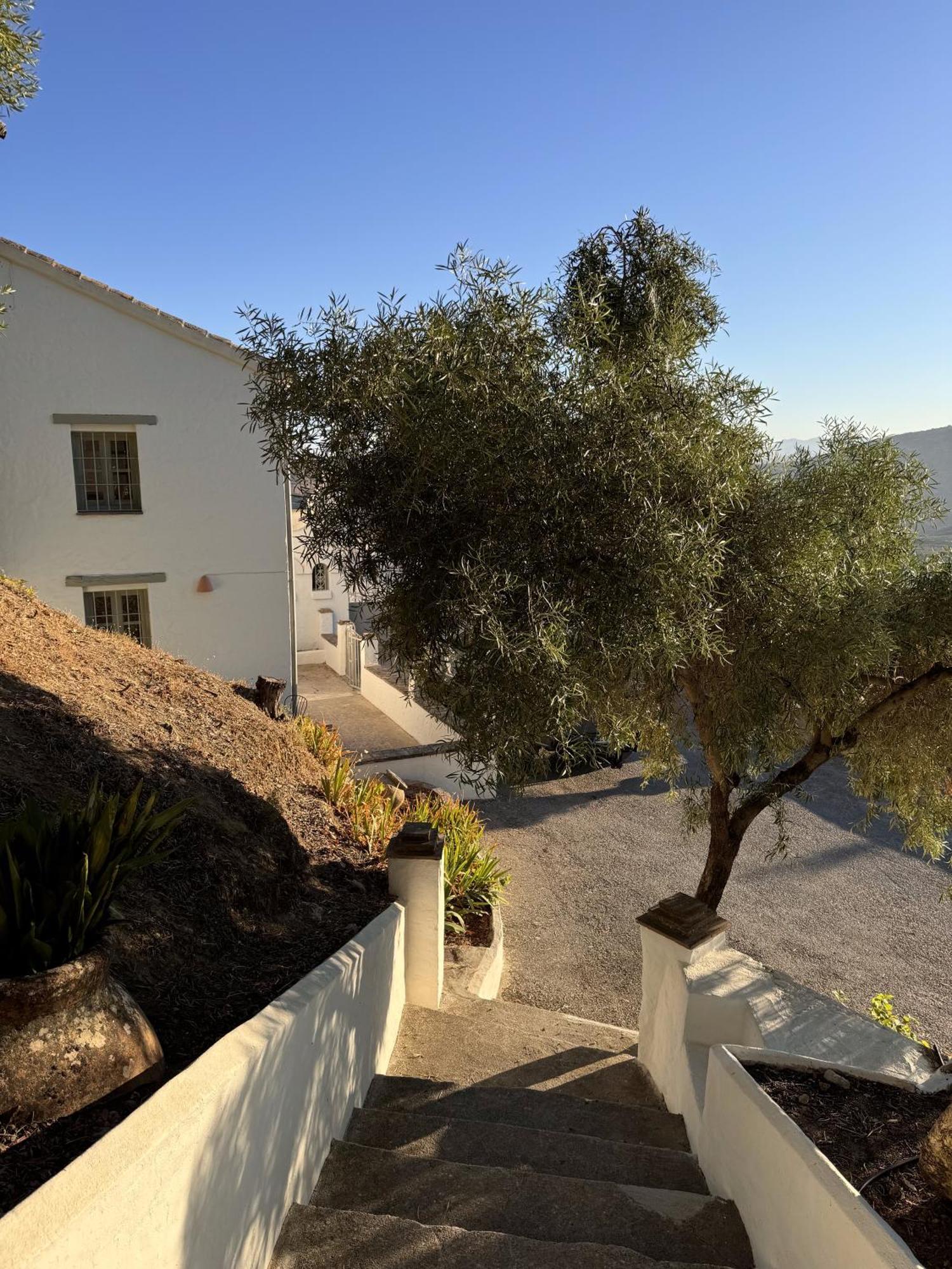 Finca Luca Oliva Zahara De La Sierra Eksteriør billede